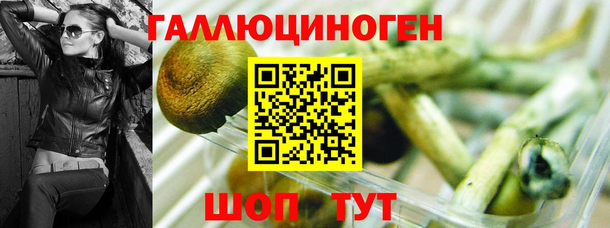 Нижнекамск  Псилоцибиновые грибы MAGIC MUSHROOMS  Вход с VPN 
